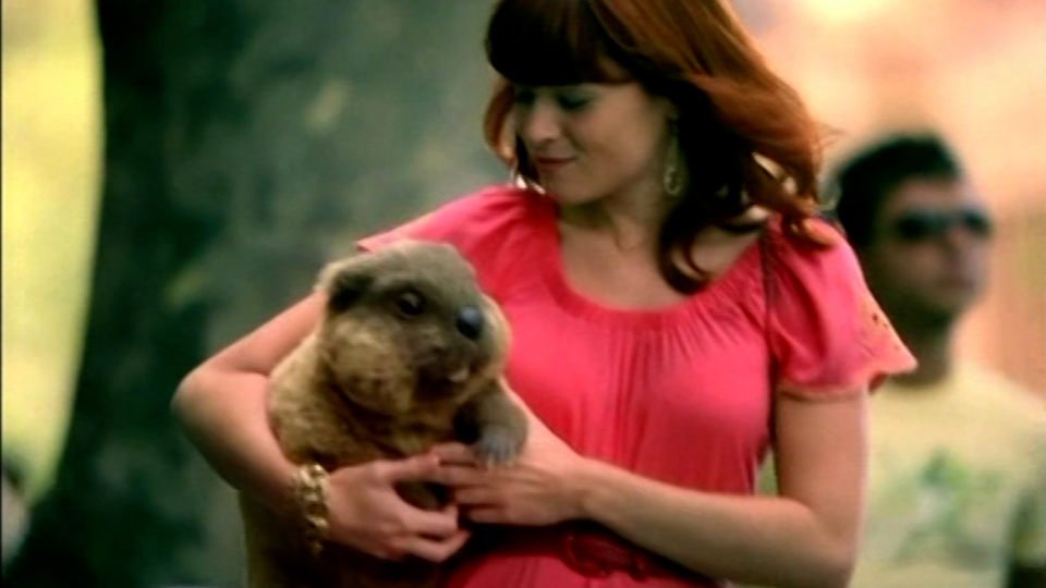 Kotex U Tampons - Beaver